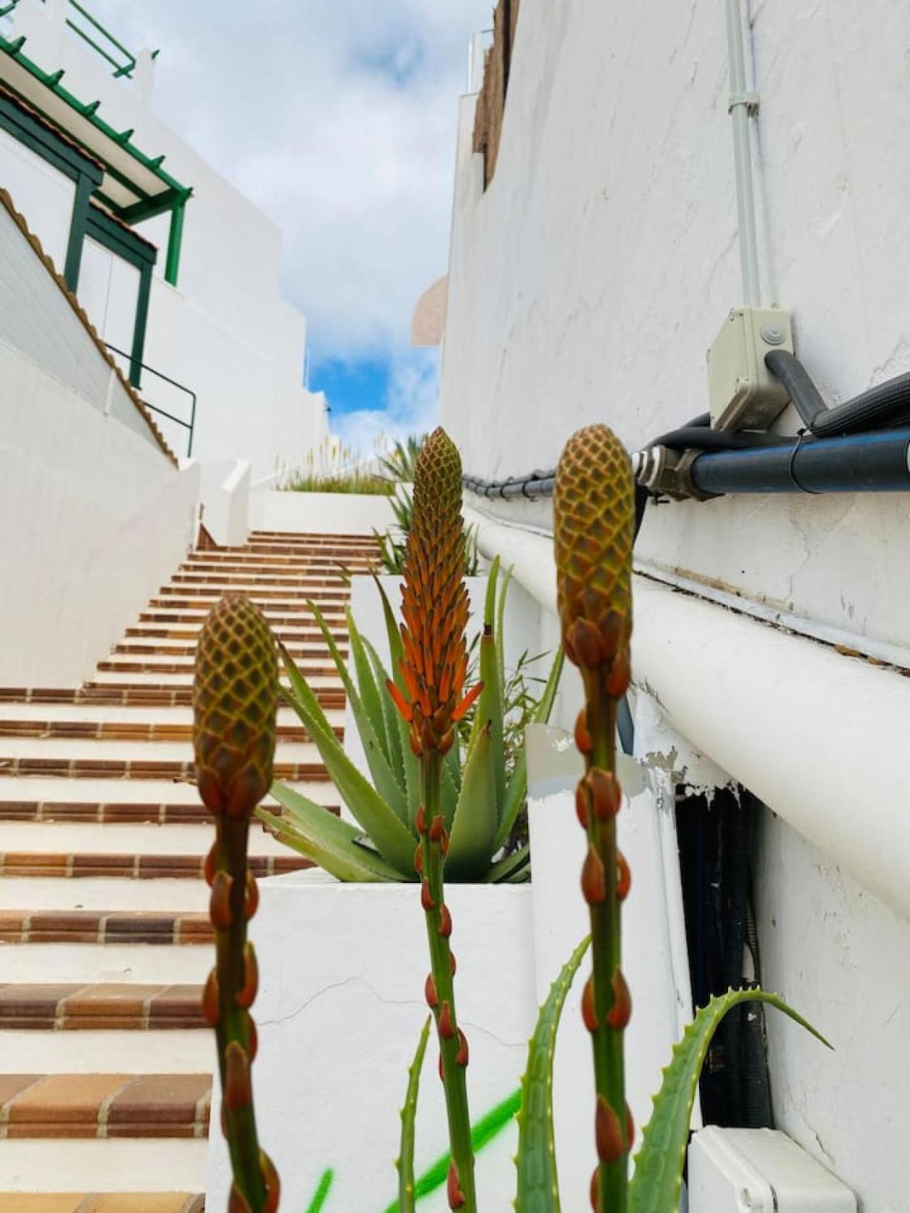 Tenerife.365 Atalaya Court II Sunset Ocean View Costa Adeje  Luaran gambar